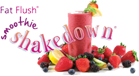 DO prevent what Meal Planning Maven lovingly (NOT!) calls “scale creep” between Thanksgiving and New Year’s by trying out the Smoothie Shakedown!