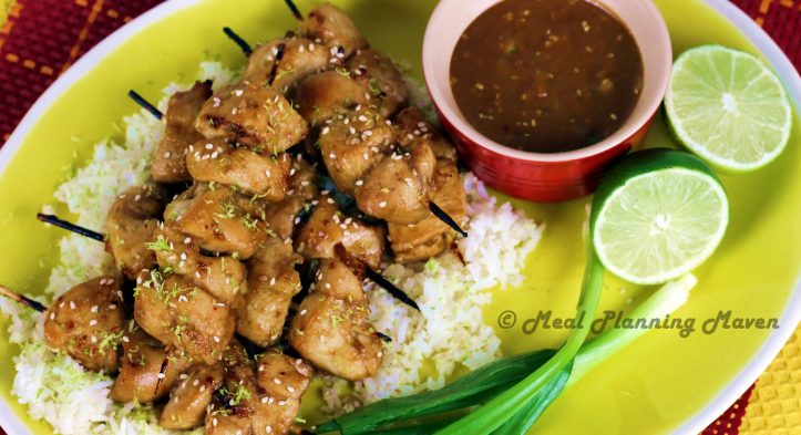 Chicken “Satay” with Tamari-Peanut Dip